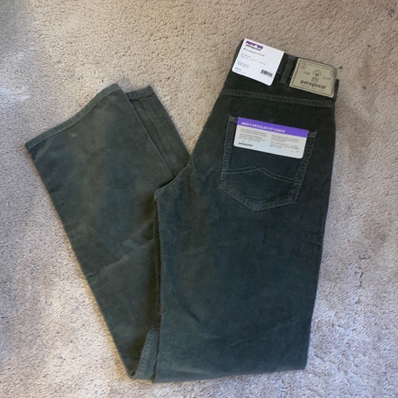 Patagonia Other - NWT Patagonia men’s Regular Fit Cords 30 x 32